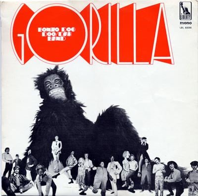 gorilla