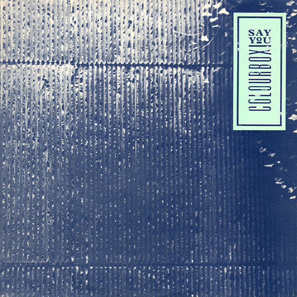 say you (12inch)