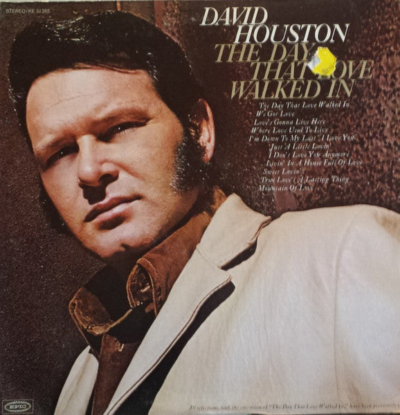 the day that love walked in (lp)