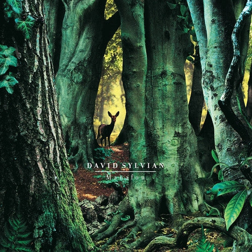 manafon (2lp)
