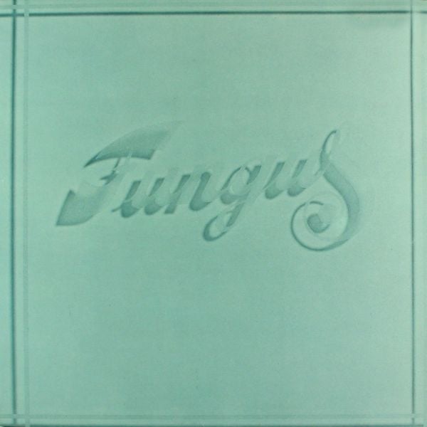 fungus