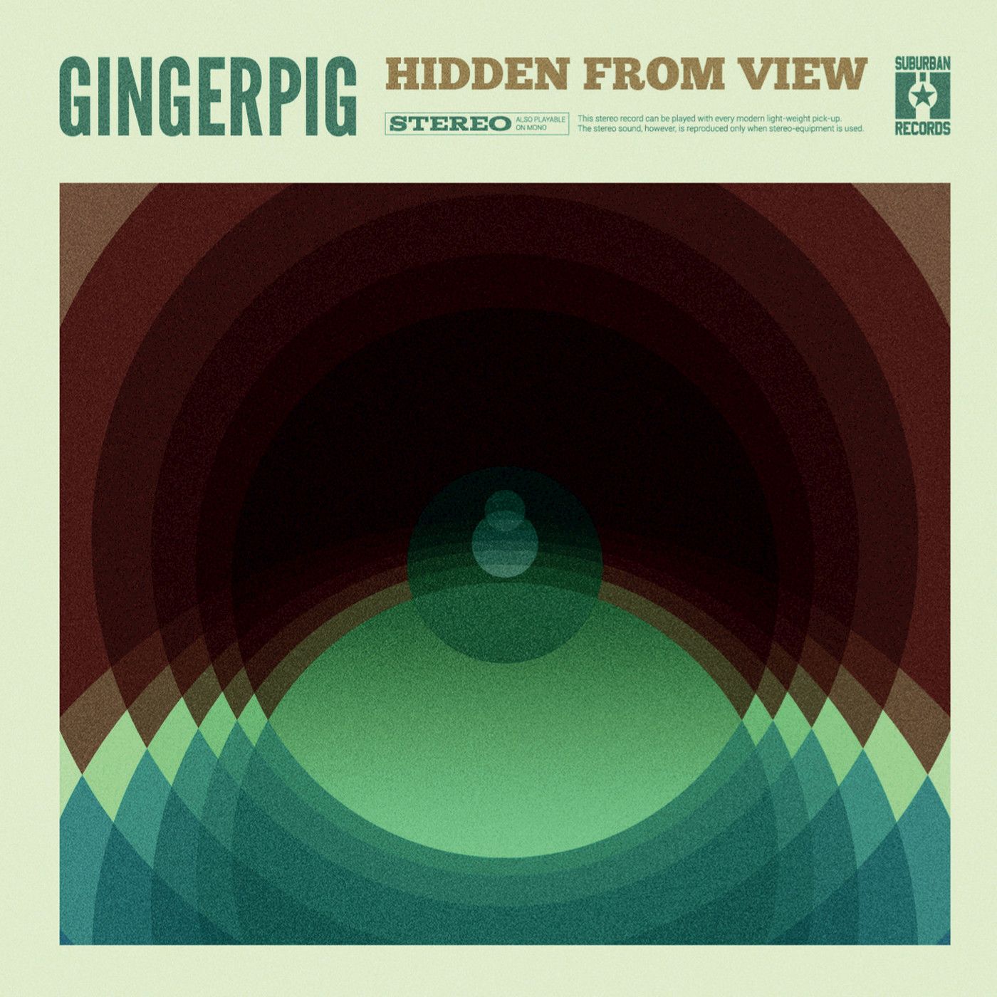 hidden from view (lp)