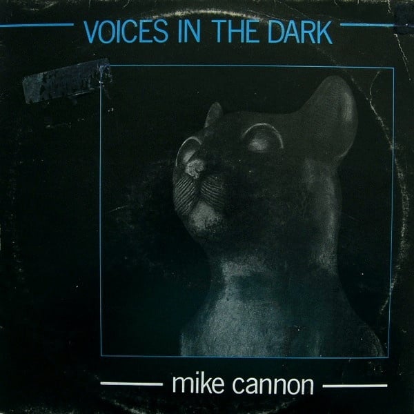 voices in the dark