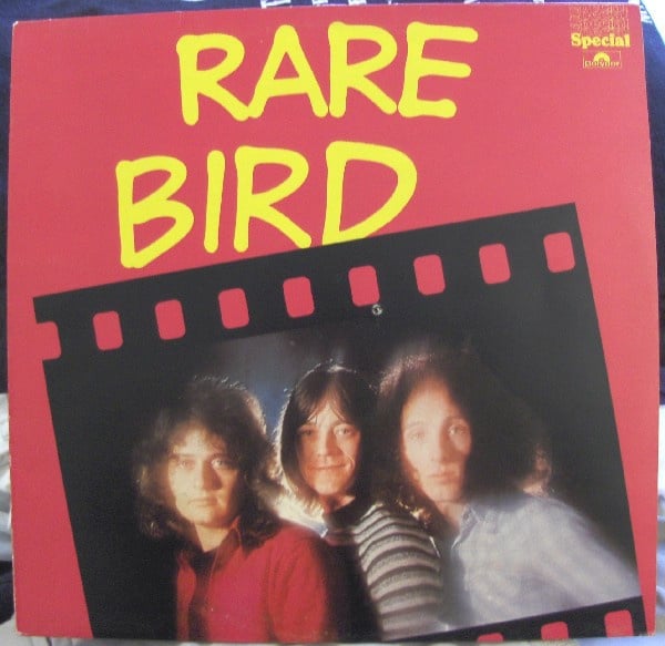 rare bird