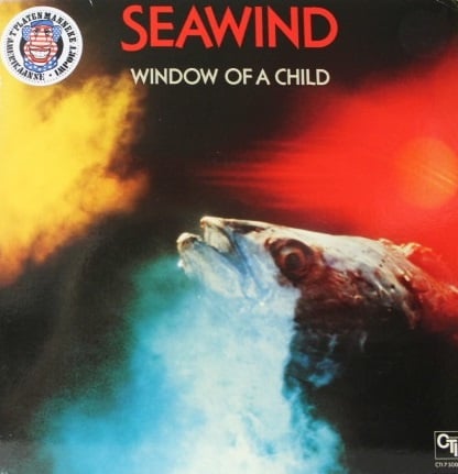 window of a child