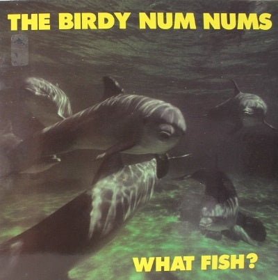 what fish?