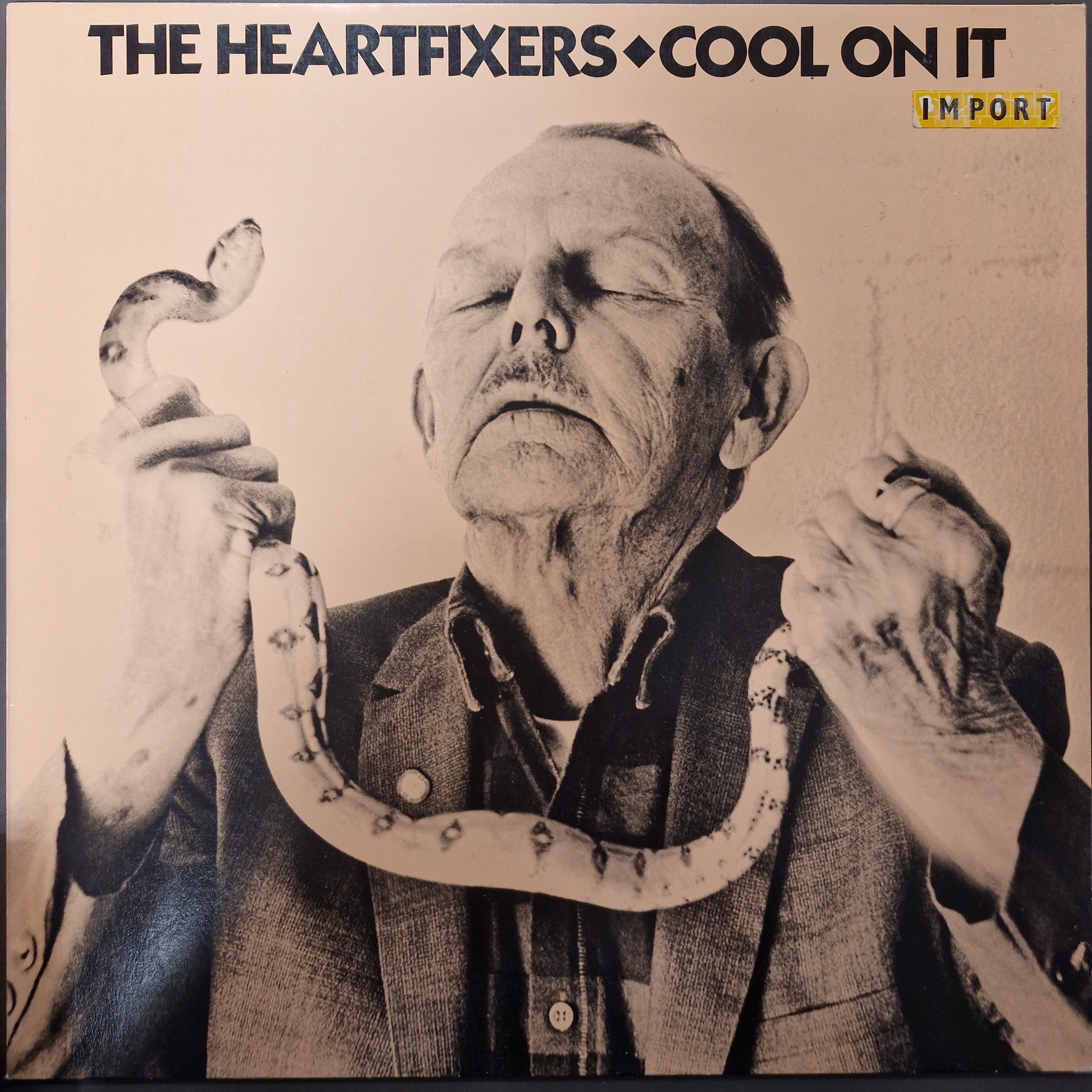 cool on it (lp)