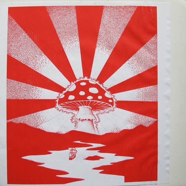 the psychedelic voyage