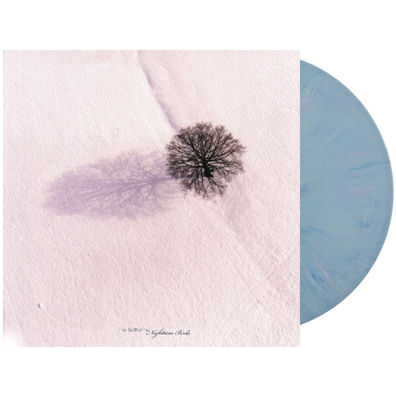 nighttime birds (blue vinyl)
