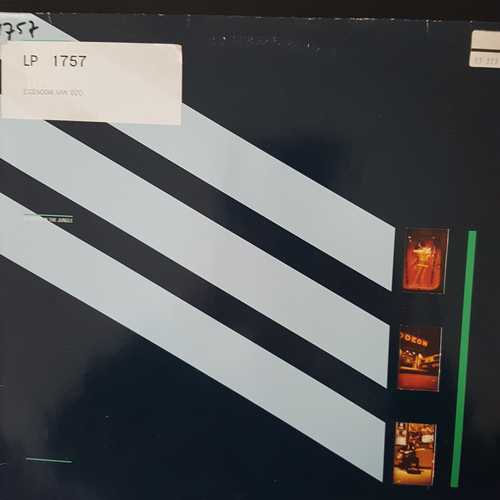 window in the jungle