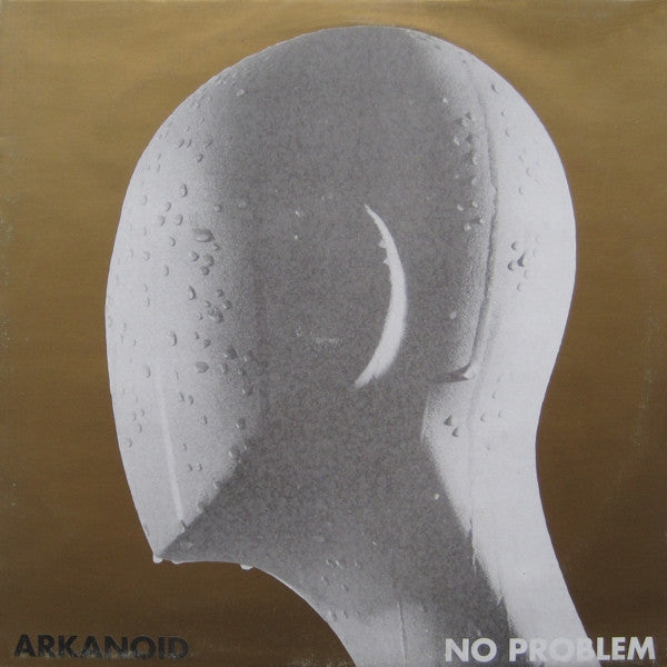 no problem (12inch)