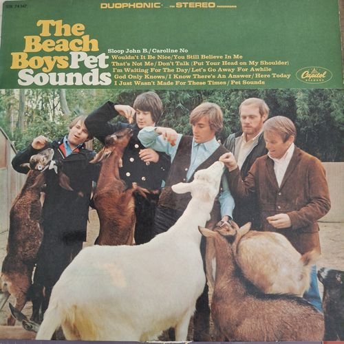 pet sounds