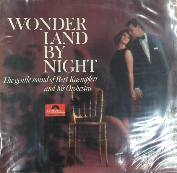 wonder land by night