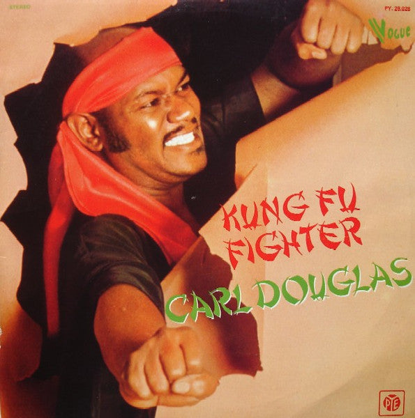 kung fu fighter