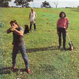 down on the farm (near mint)