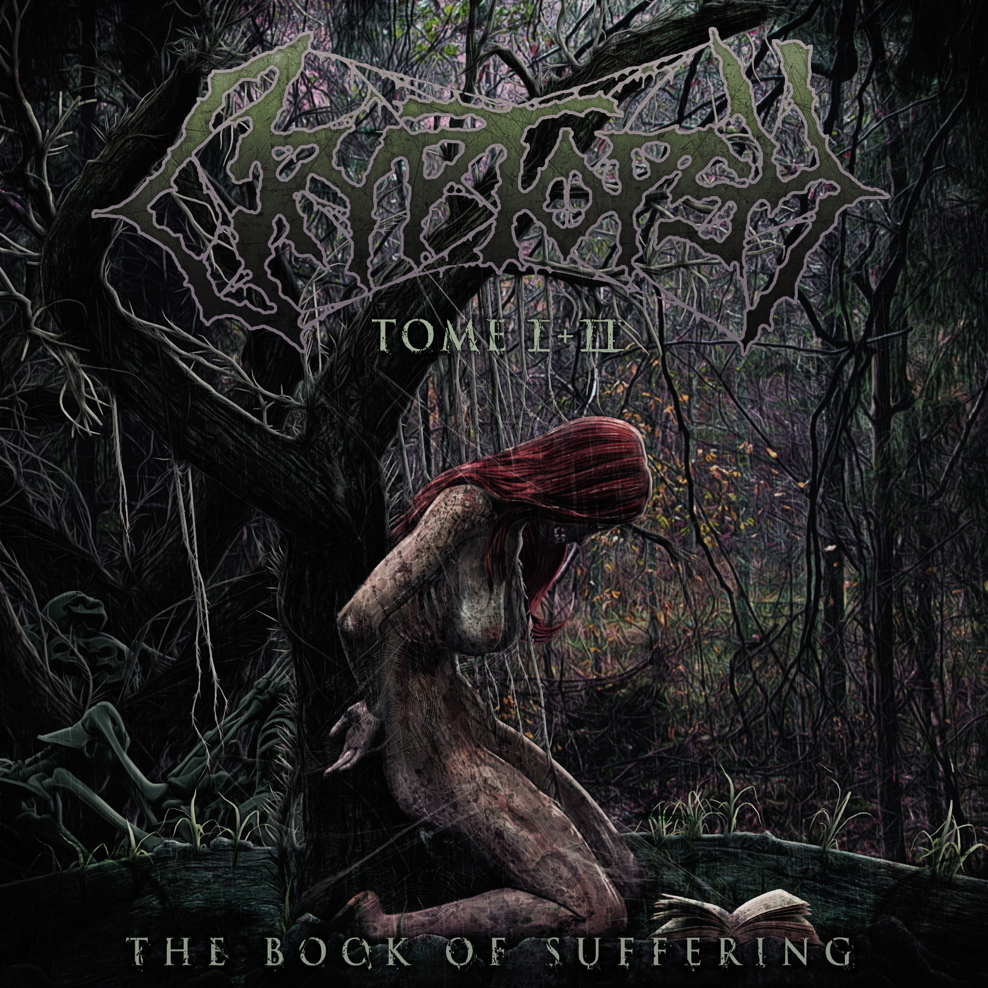 book of suffering: tome i + ii