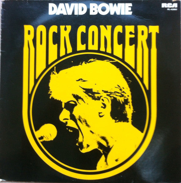 rock concert