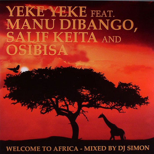 welcome to africa (12inch maxi)