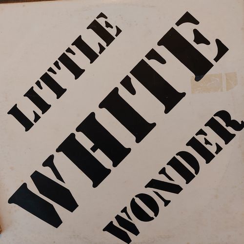 little white wonder - the basementsingers (sings bob dylan)