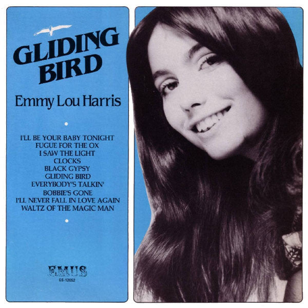 gliding bird