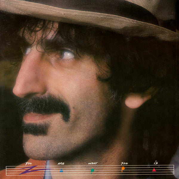 you are what you is (lp)