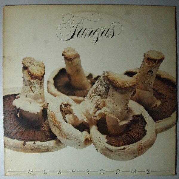 mushrooms