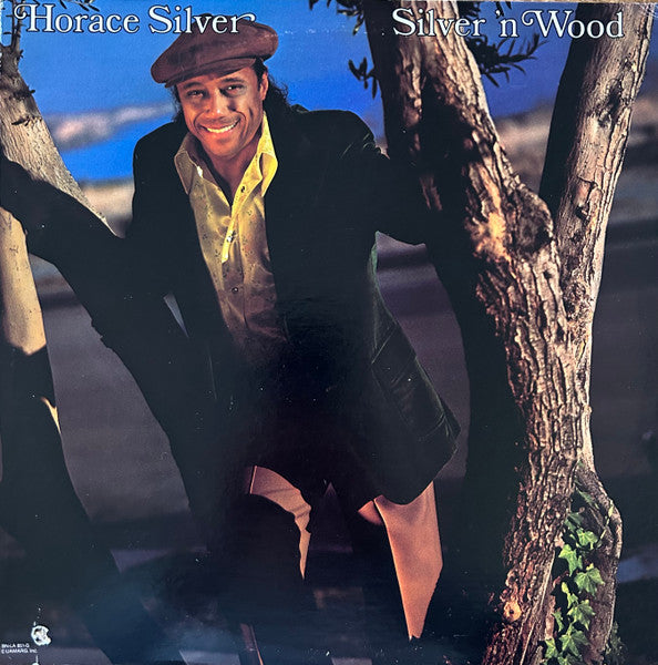 silver 'n wood