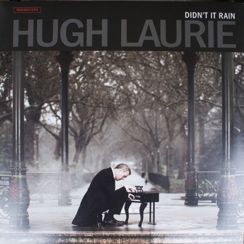 didn't it rain (2lp)