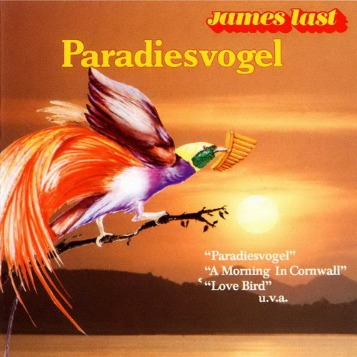 paradiesvogel