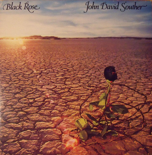 black rose