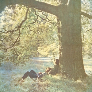 plastic ono band (mint)