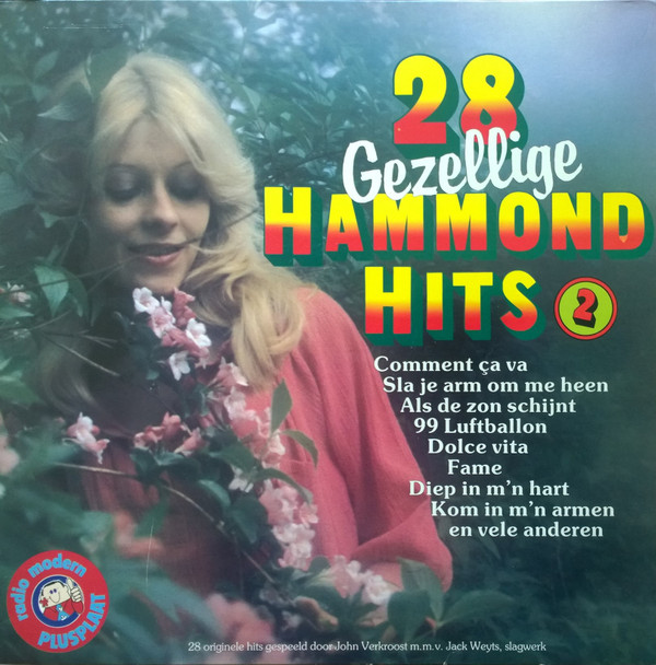28 gezellige hammond hits 2