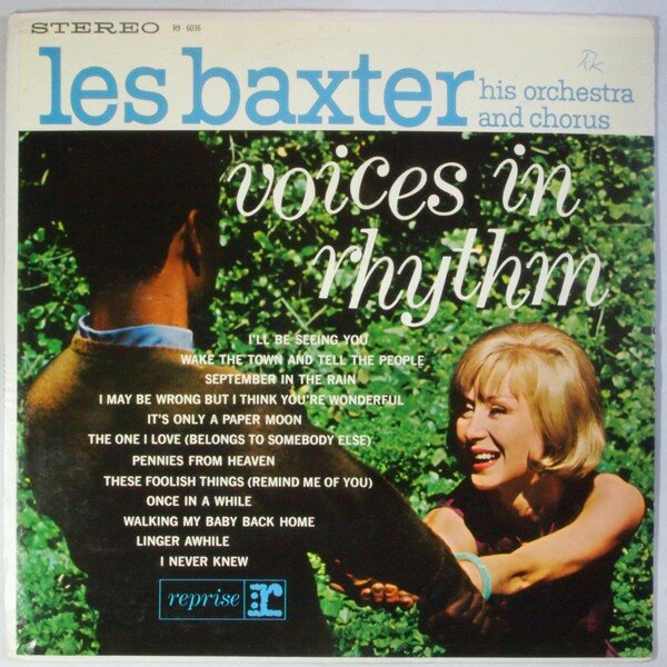 voices in rhythm