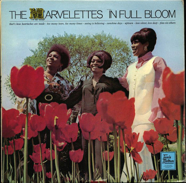in full bloom