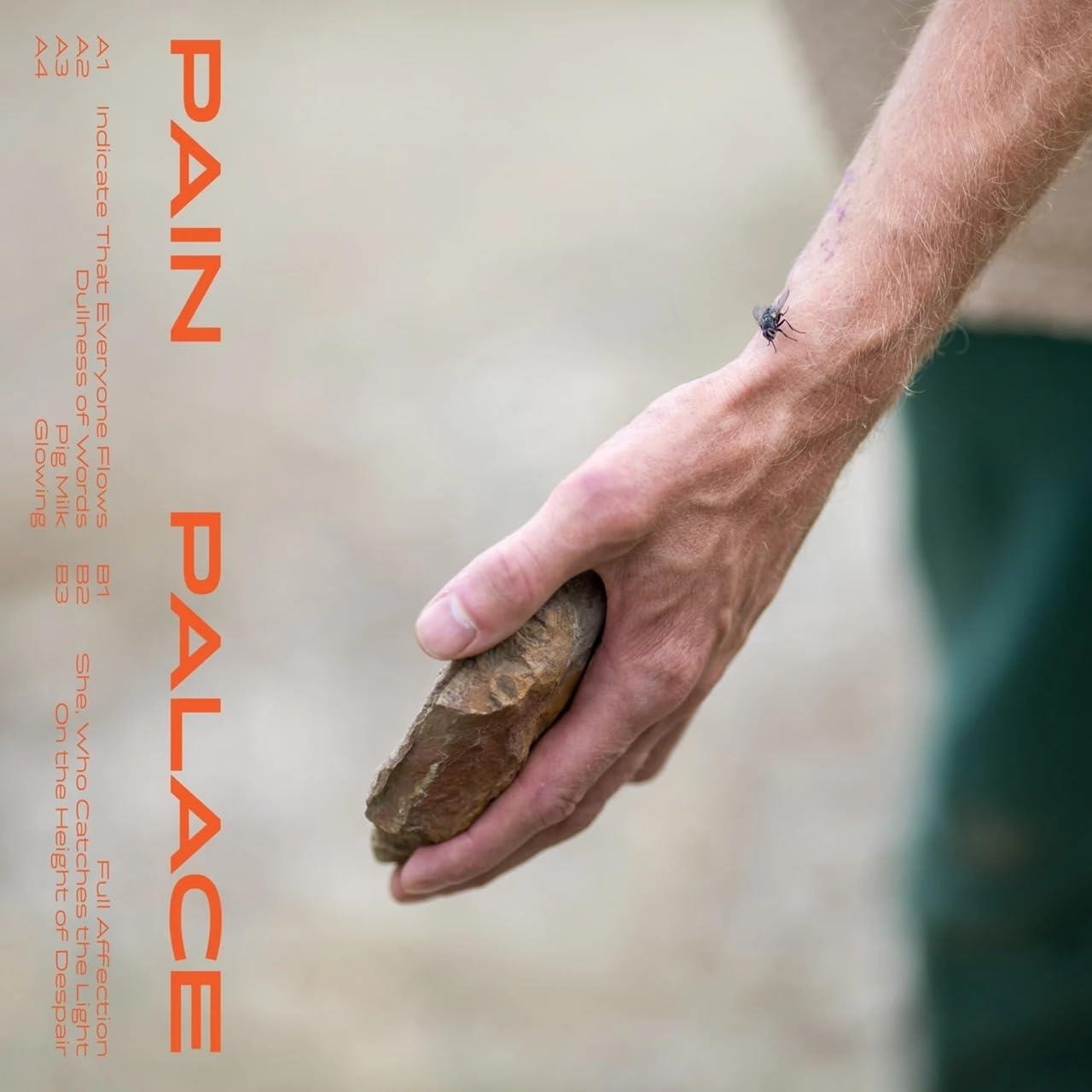 pain palace (lp)