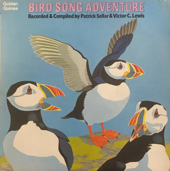 bird song adventure
