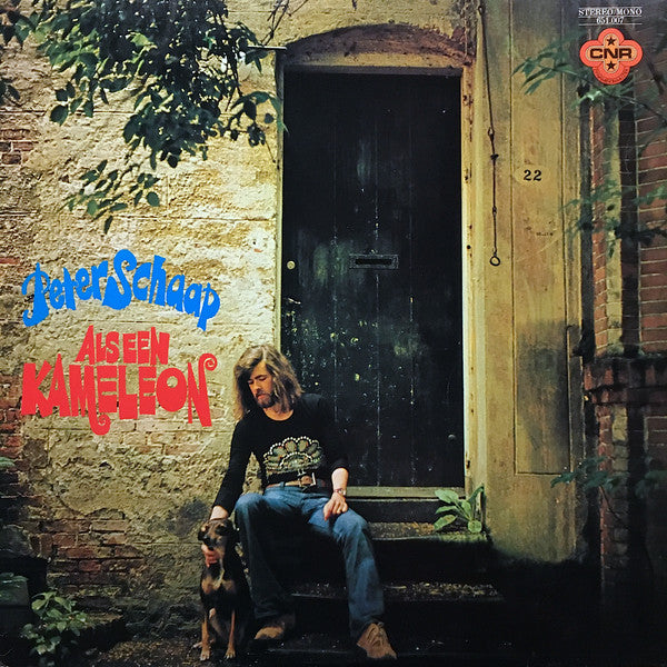 als een kameleon (lp)