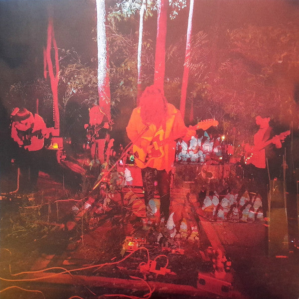 levitation sessions (lp)