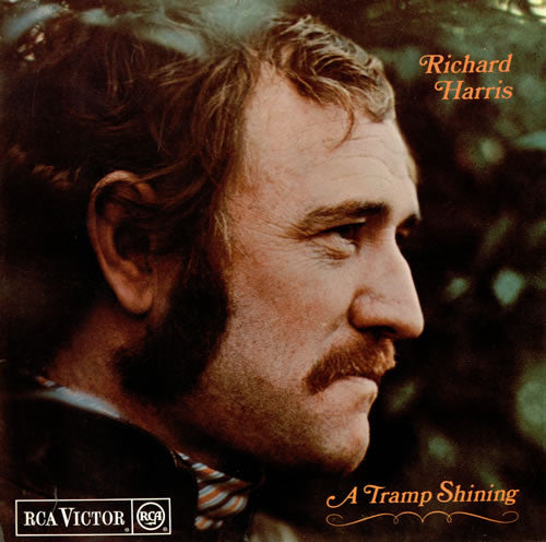 a tramp shining