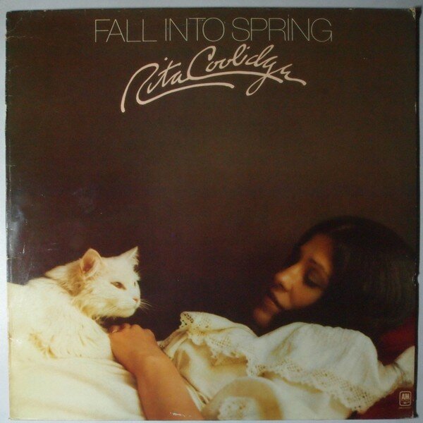 fall into spring
