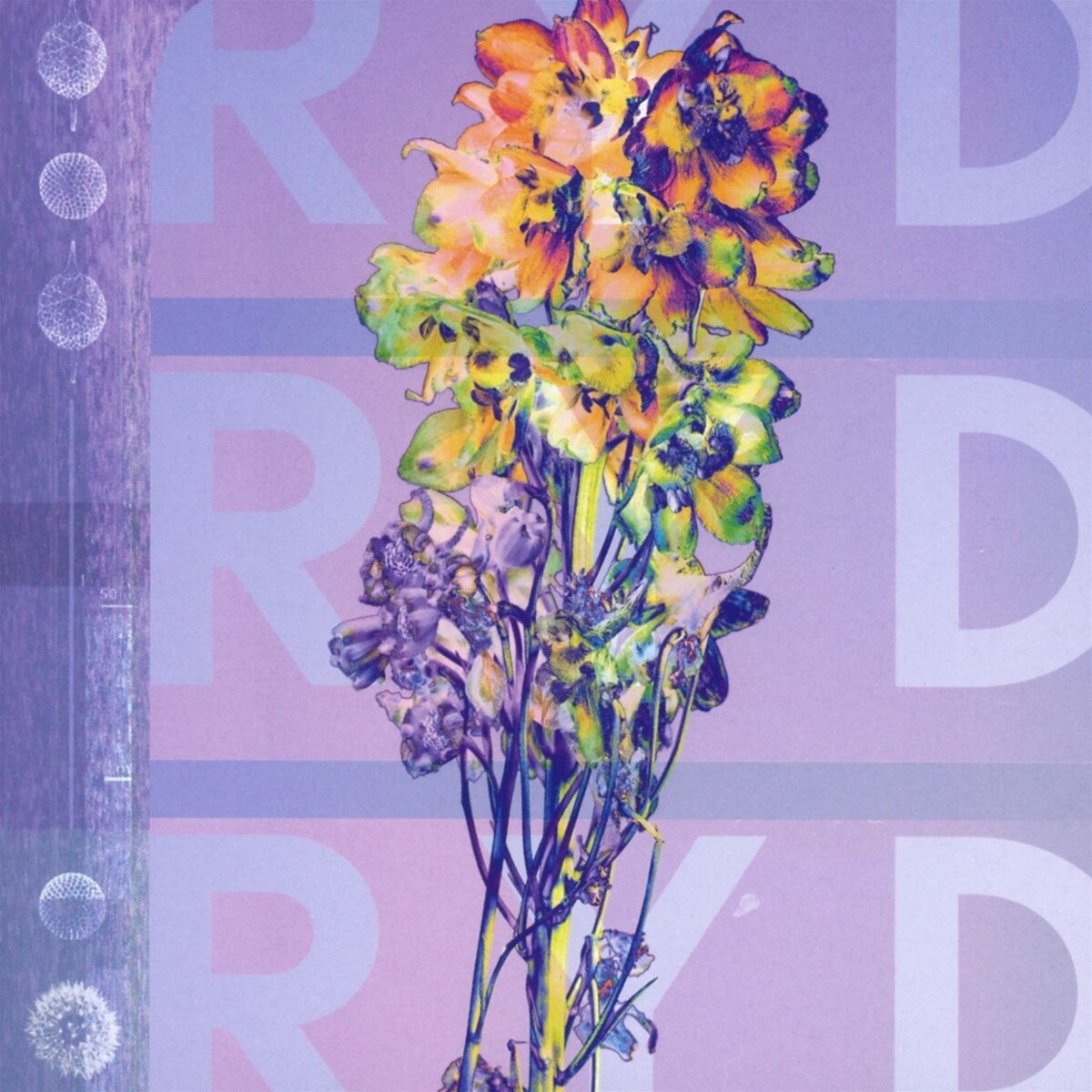 ryd (lp)
