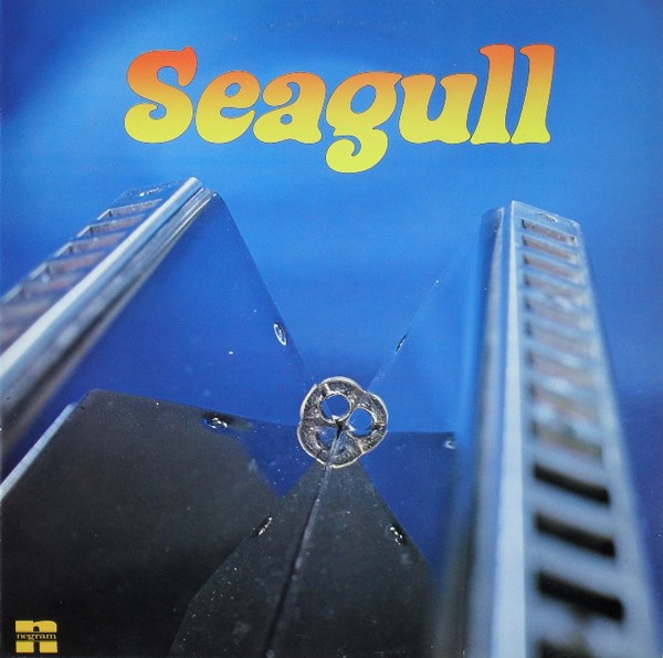 seagull