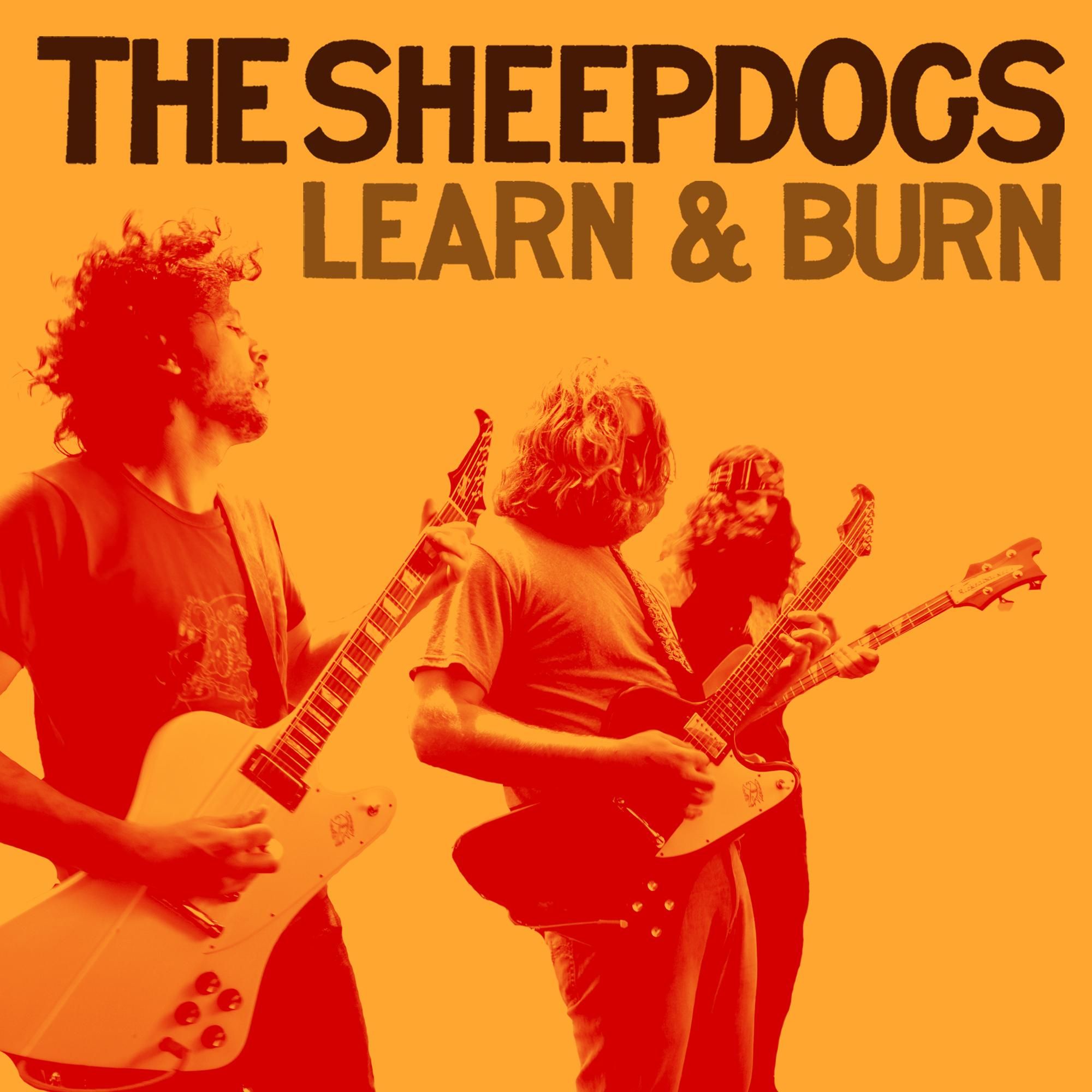 learn & burn