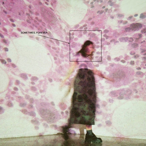 sometimes, forever (lp)