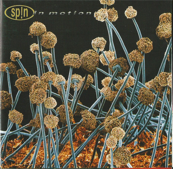 in motion cd, album