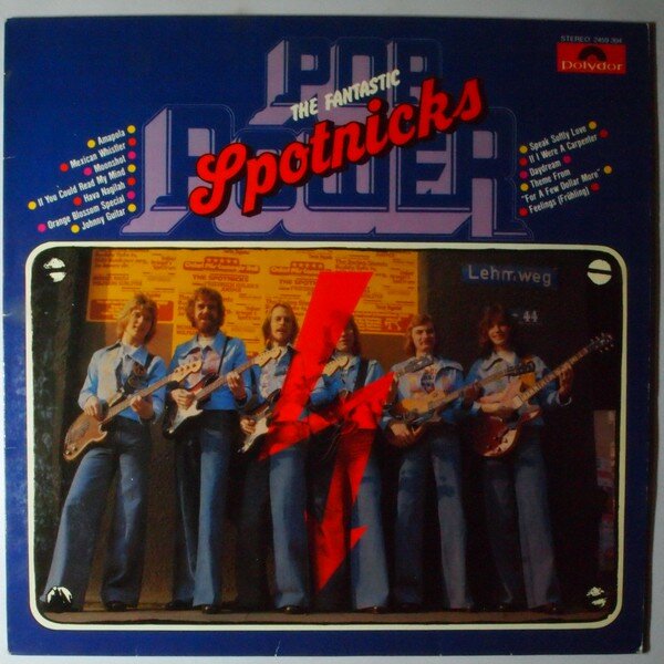 the fantastic spotnicks