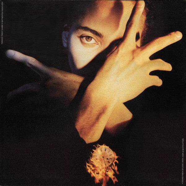 terence trent d'arby's neither fish nor flesh (a soundtrack of love, faith, hope & destruction)