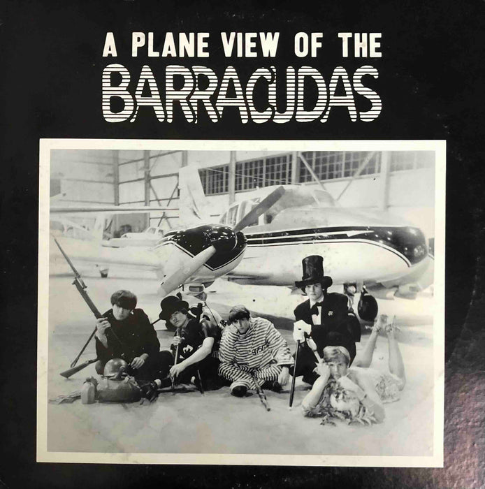 a plane view of the barracudas