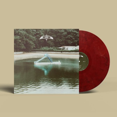 the bird experience lp