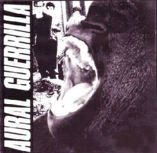 aural guerrilla